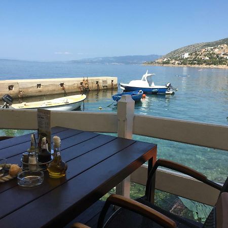 Apartman Mimoz Senj  Exterior photo